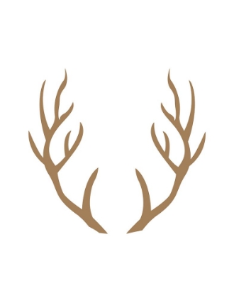 Picture of BROWN ANTLERS