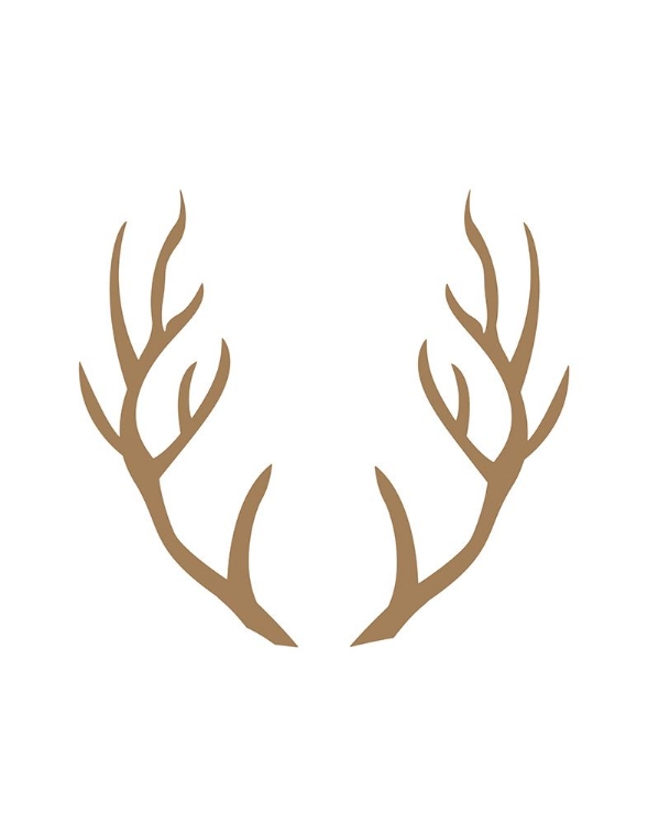 Picture of BROWN ANTLERS