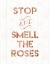 Picture of STOP AND SMELL THE ROSES