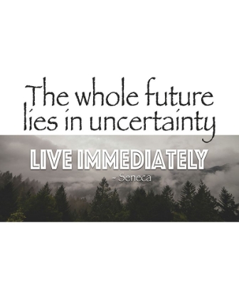 Picture of LIVE IMMEDIATELY QUOTE