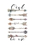Picture of CEST LA VIE ARROWS