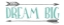 Picture of DREAM BIG ARROW