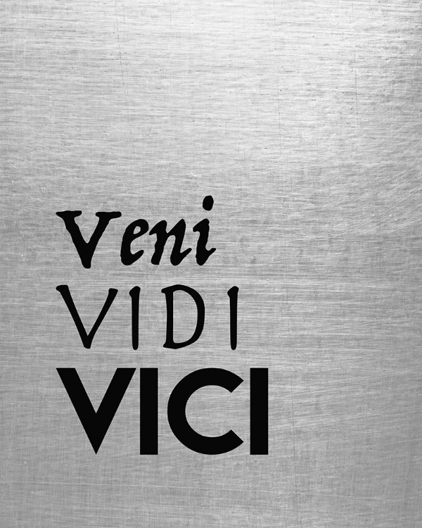 Picture of VENI VIDI VICI