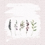 Picture of FLORALS ON GRUNGE SQUARE