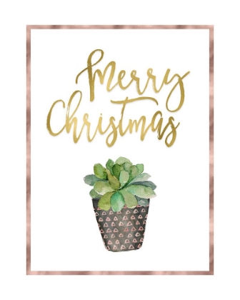 Picture of MERRY CHRISTMAS SUCCULENT