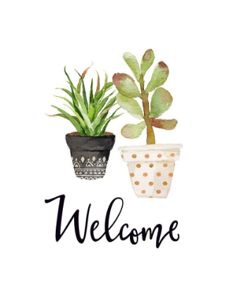 Picture of WELCOME SUCCULENTS