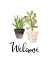 Picture of WELCOME SUCCULENTS