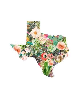 Picture of TEXAS FLORAL COLLAGE III