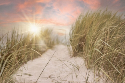 Picture of BEACH GRASS AND SUN