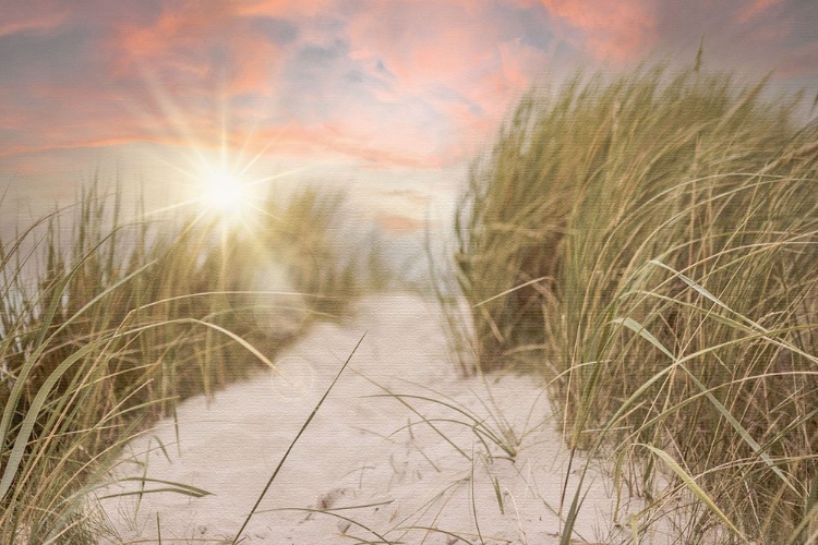 Picture of BEACH GRASS AND SUN