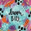 Picture of DREAM BIG