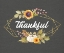 Picture of THANKFUL