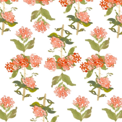 Picture of FLORAL PATTERN