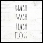Picture of BRUSH WASH FLUSH FLOSS
