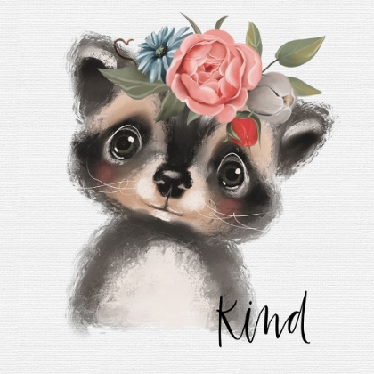 Picture of KIND RACCOON