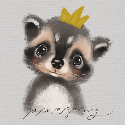 Picture of AMAZING RACCOON