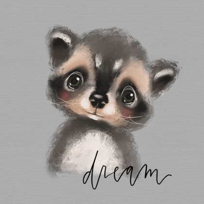 Picture of DREAM RACCOON