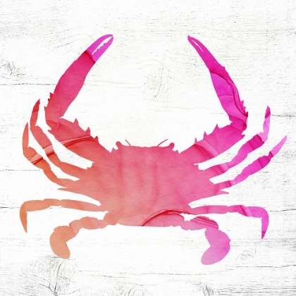 Picture of CRAB