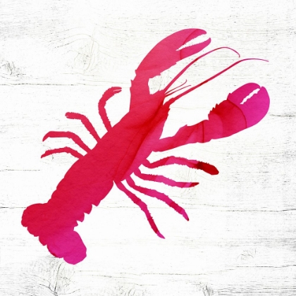 Picture of LOBSTER