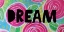Picture of DREAM