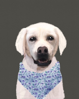 Picture of WHITE LAB