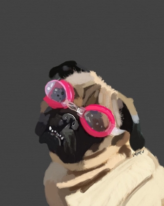 Picture of GOGGLES