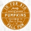 Picture of FALL FUN