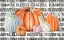 Picture of PUMPKIN PILLOW II