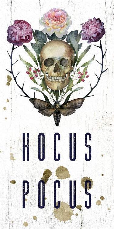 Picture of HOCUS POCUS