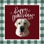 Picture of HAPPY HOWLIDAYS
