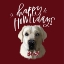 Picture of HAPPY HOWLIDAYS