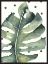 Picture of MOVE