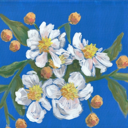 Picture of BLUE WHITE FLOWERS