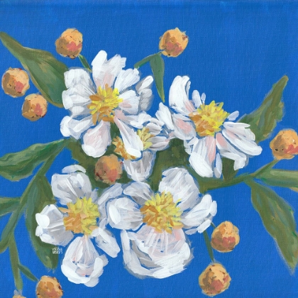 Picture of BLUE WHITE FLOWERS