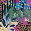 Picture of WILD