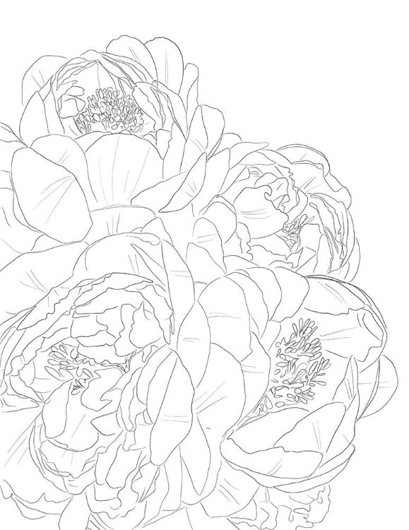 Picture of FLOWER OUTLINE