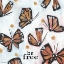 Picture of BE FREE