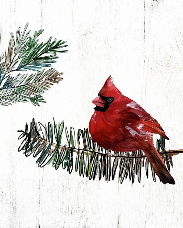 Picture of CARDINAL