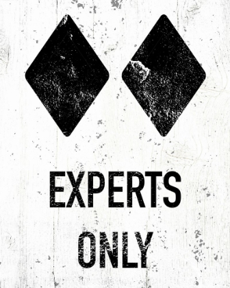 Picture of EXPERTS ONLY
