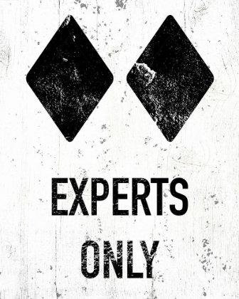 Picture of EXPERTS ONLY