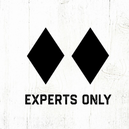 Picture of EXPERTS ONLY