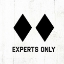 Picture of EXPERTS ONLY