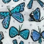 Picture of BLUE BUTTERFLIES