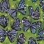 Picture of BUTTERFLIES