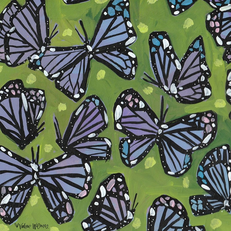 Picture of BUTTERFLIES