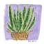 Picture of SNAKE PLANT