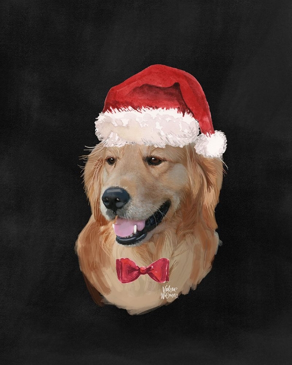 Picture of CHRISTMAS LAB