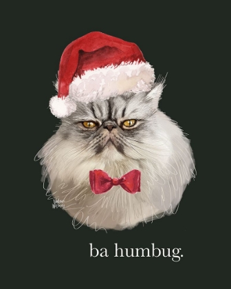 Picture of BA HUMBUG