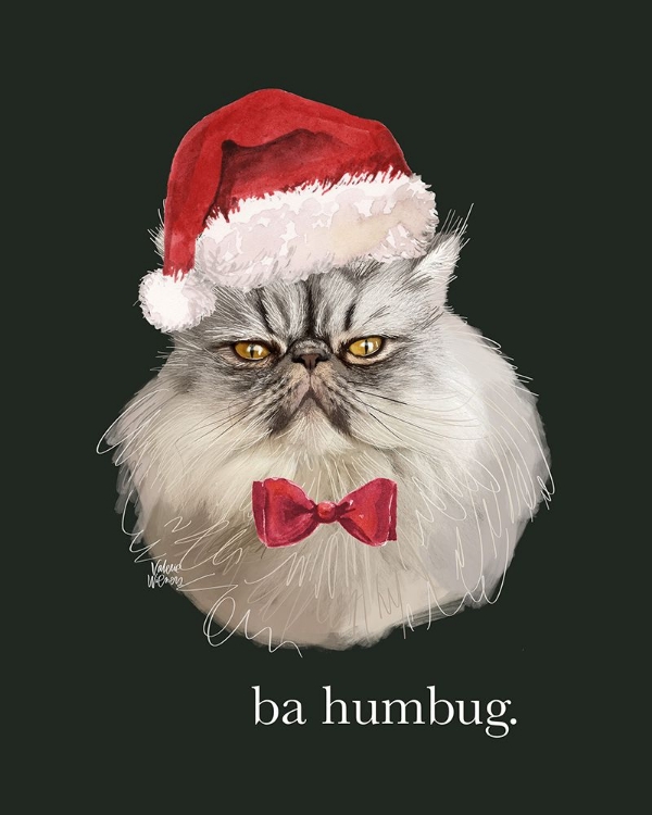 Picture of BA HUMBUG