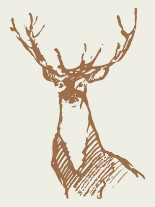 Picture of NATURAL DEER